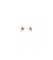 Pendientes Litchi Estrella | SUNFIELD