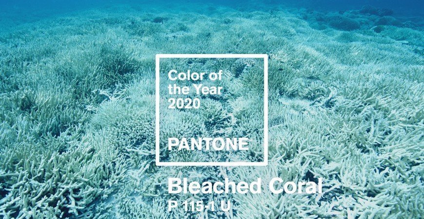 COLOR PANTONE 2020